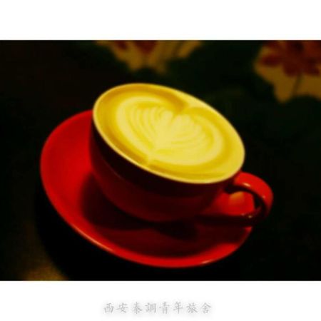 Xi'An Qindiao Youth Hostel Xi'an (Shaanxi) Dış mekan fotoğraf