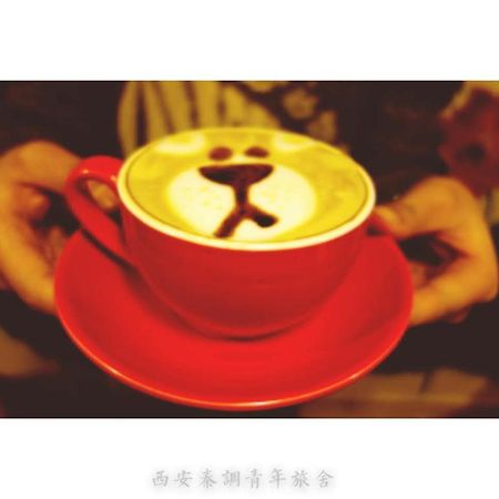 Xi'An Qindiao Youth Hostel Xi'an (Shaanxi) Dış mekan fotoğraf